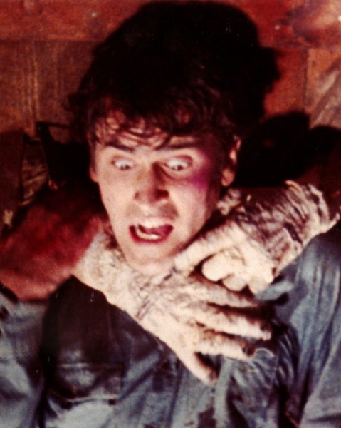 The Evil Dead (1981) Trailer #1  Movieclips Classic Trailers 