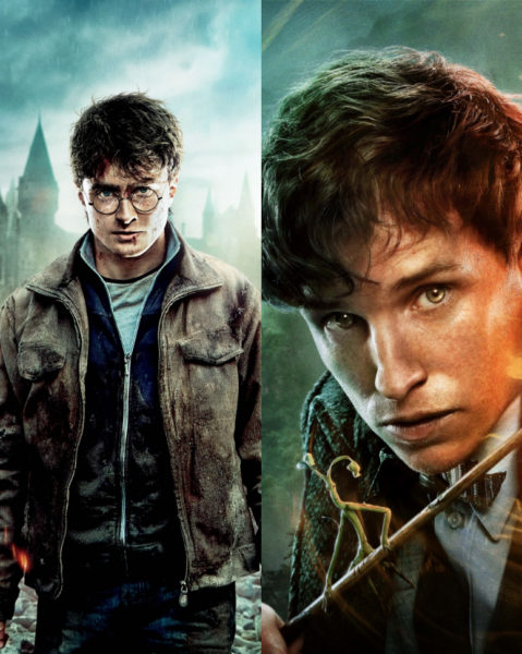 Fantastic Beasts 2' Trailer Officially Establishes Harry Potter